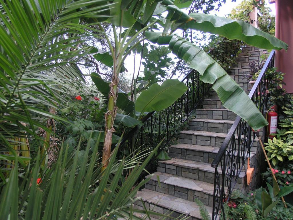 A Vista Apartment Parga